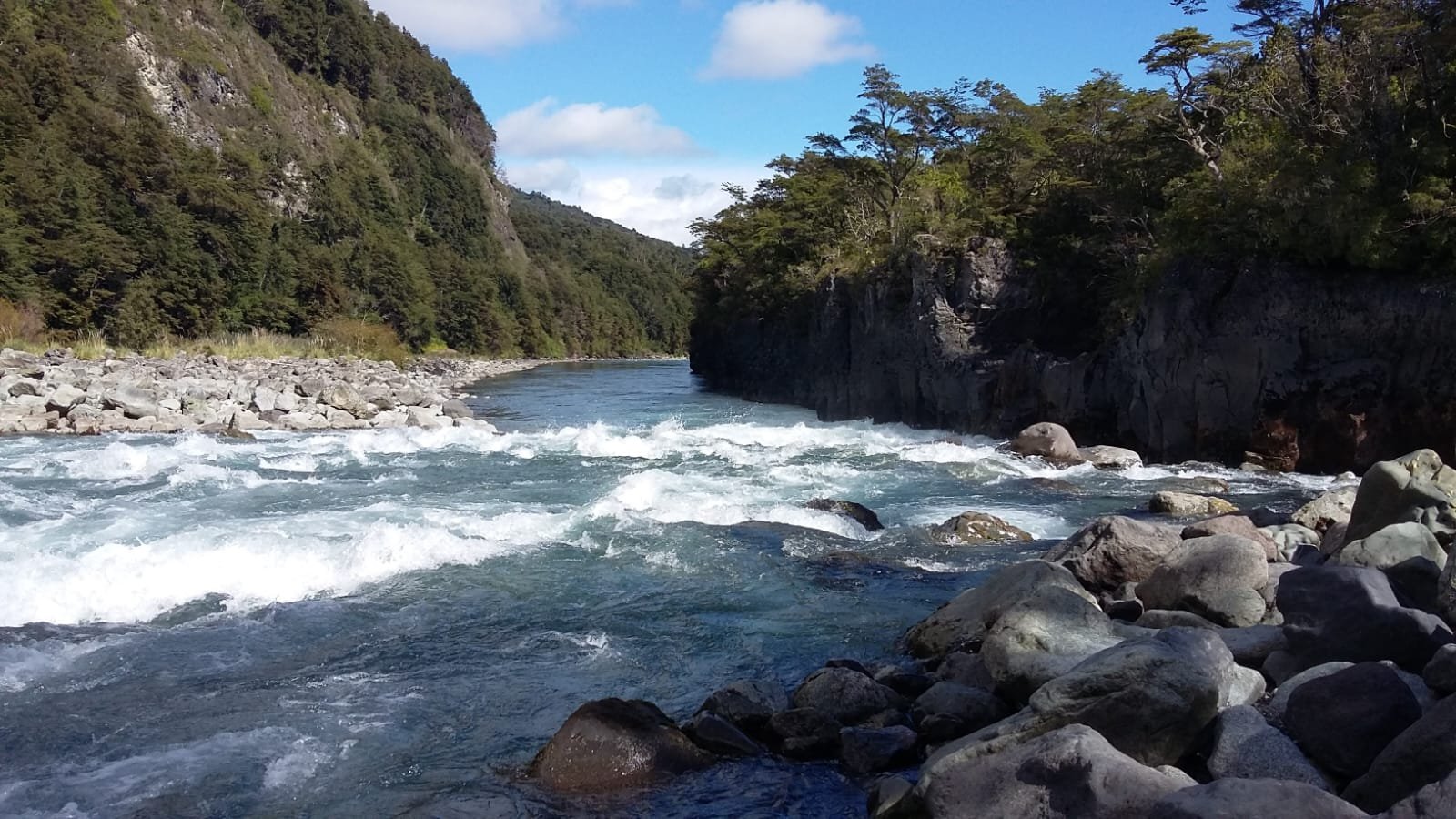 Naturaleza patagónica